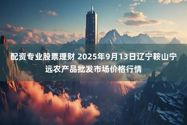 配资专业股票理财 2025年9月13日辽宁鞍山宁远农产品批发市场价格行情