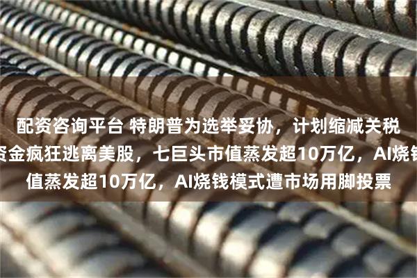 配资咨询平台 特朗普为选举妥协，计划缩减关税缓解民生压力，全球资金疯狂逃离美股，七巨头市值蒸发超10万亿，AI烧钱模式遭市场用脚投票